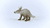 Aardvark 14863