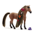 Horse  Beauty Achal Tekkiner hingst 42621