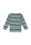 Langarmshirt green