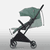 Buggy INDY 2 sea green