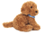 Golden doodle sitting, 30 cm