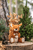 Soft Cuddly Friends Eichhoernchen Phil rotbraun sitzend, 20 cm