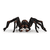 Aragog 13987