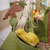 Table circuit voitures safari Adventure Tracks bois 20172
