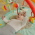 Tapis d'éveil koala 3D