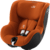 Autostol Dualfix Golden 5Z Cognac