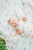 aden + anais Pucktücher The Lion King 4er-Pack