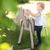 Outdoorspielpferd grau
