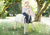 Outdoorspielpferd grau