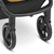 Buggy Avus Honey Kollektion 2024