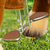 Caballo de juguete con ruedas Brown pequeño