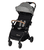 Poussette Sunlite Tinted Gray
