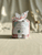 Gants de toilette enfant vaskedag vieux rose lot de 12
