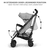 Buggy SIESTA Ash Grey