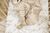 Jumper Filialer sand
