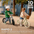 Bici senza pedali RAPID 2 Pink