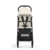 Buggy Beezy Black Canvas White