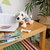 Peluche chien Stoffi