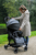 Kinderwagen XL in hellgrau