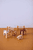 Animales de granja AIDEN