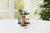 Jurassic World  Balancing Game Erdbeben