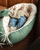 Babynest Waldfreunde