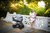 Passeggino 3 in 1 PRIME 2 Shadow Grigio