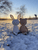 Geschenkbox Buddy Teddy