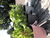 - Faltbarer Eimer und Schaufel Dusty Rose