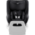 Diamond Reboarder Dualfix 5Z  Carbon Black Style