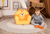 Poltrona per bambini Tiger