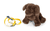 Hund mit Tasche und Pflege-Set