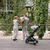 Buggy Ping 3 Travel Pine