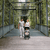 Buggy Ping 3 Travel Pine