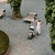 Buggy Ping 3 Travel Pine