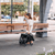 Passeggino leggero Buggy Ping 3 Travel coal