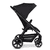 Buggy Avus 2 coal