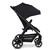 Buggy Avus 2 coal