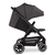 Buggy Avus 2 Luftfalk