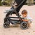 Buggy Avus 2 Luchtkolen