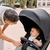 Buggy Avus 2 Luchtkolen
