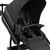 Jogger Salsa 5 Run carbone
