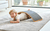 Intelligentes Balance Board aus Holz