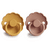 Schnuller Daisy Silikon, Honey Gold / Rose 6-18 Monate