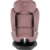 Reboarder Swivel Dusty Rose