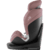 Reboarder Swivel Dusty Rose
