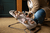 Sdraietta Mira Wells Dark Taupe Mélange incl. arco giochi Wonder Wheels