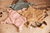 Tela de peluche Little Star Pale Pink