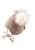 sand Gorro de punto 2 pompones