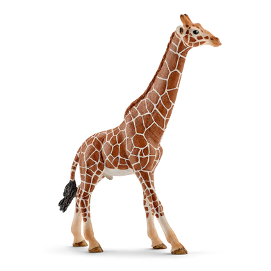 Schleich Figurine girafe mâle 14749